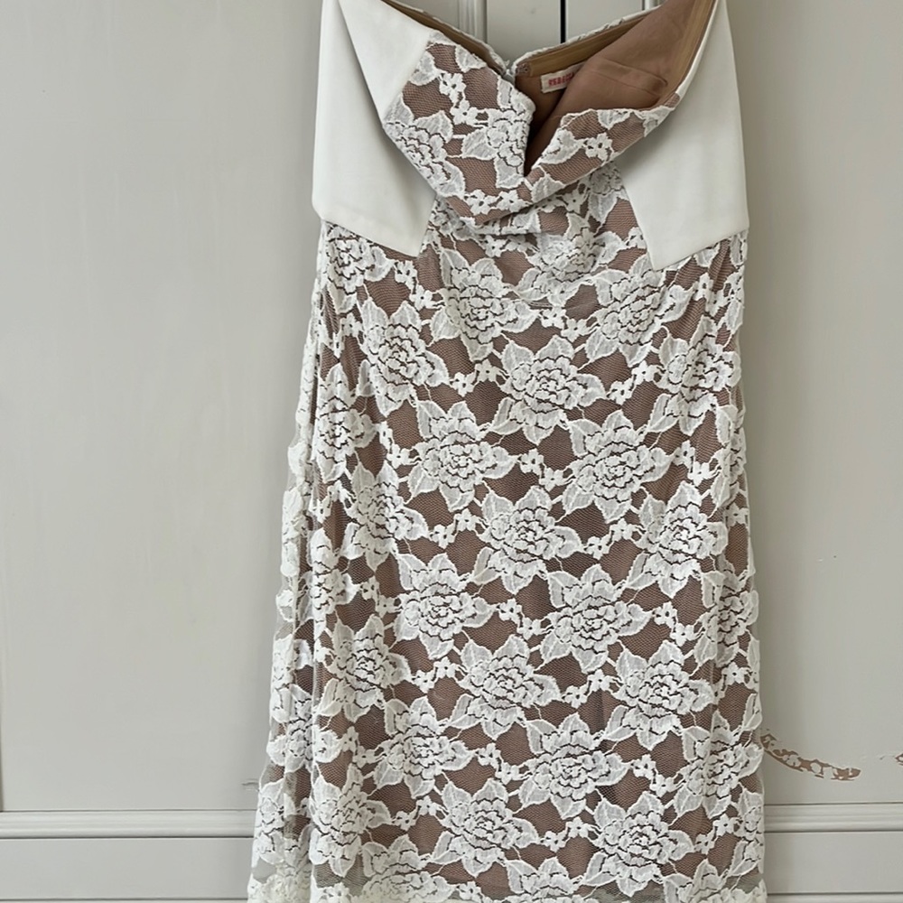 Lace dress from Rebecca Taylor in EUC